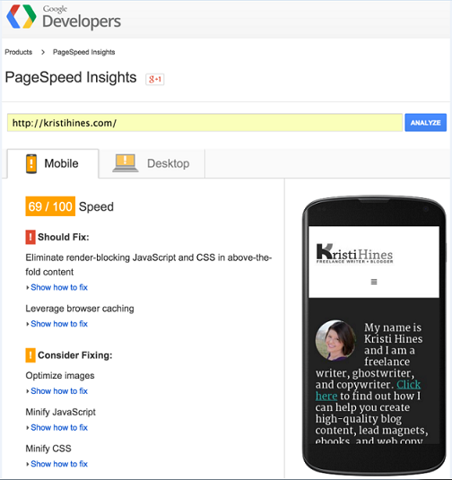 page speed insights page speed insights