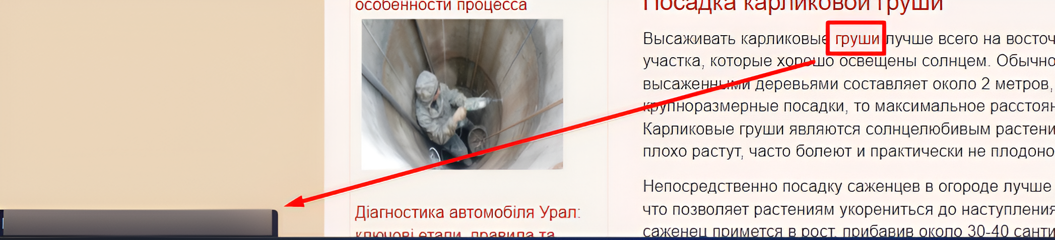 Photo 14 - Effective and safe link building promotion for “white” projects