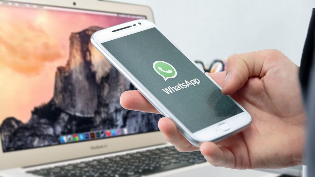 Мессенджер WhatsApp позволит переносить чаты между iOS и Android - Фото 1 Мессенджер WhatsApp позволит переносить чаты между iOS и Android - Фото 1