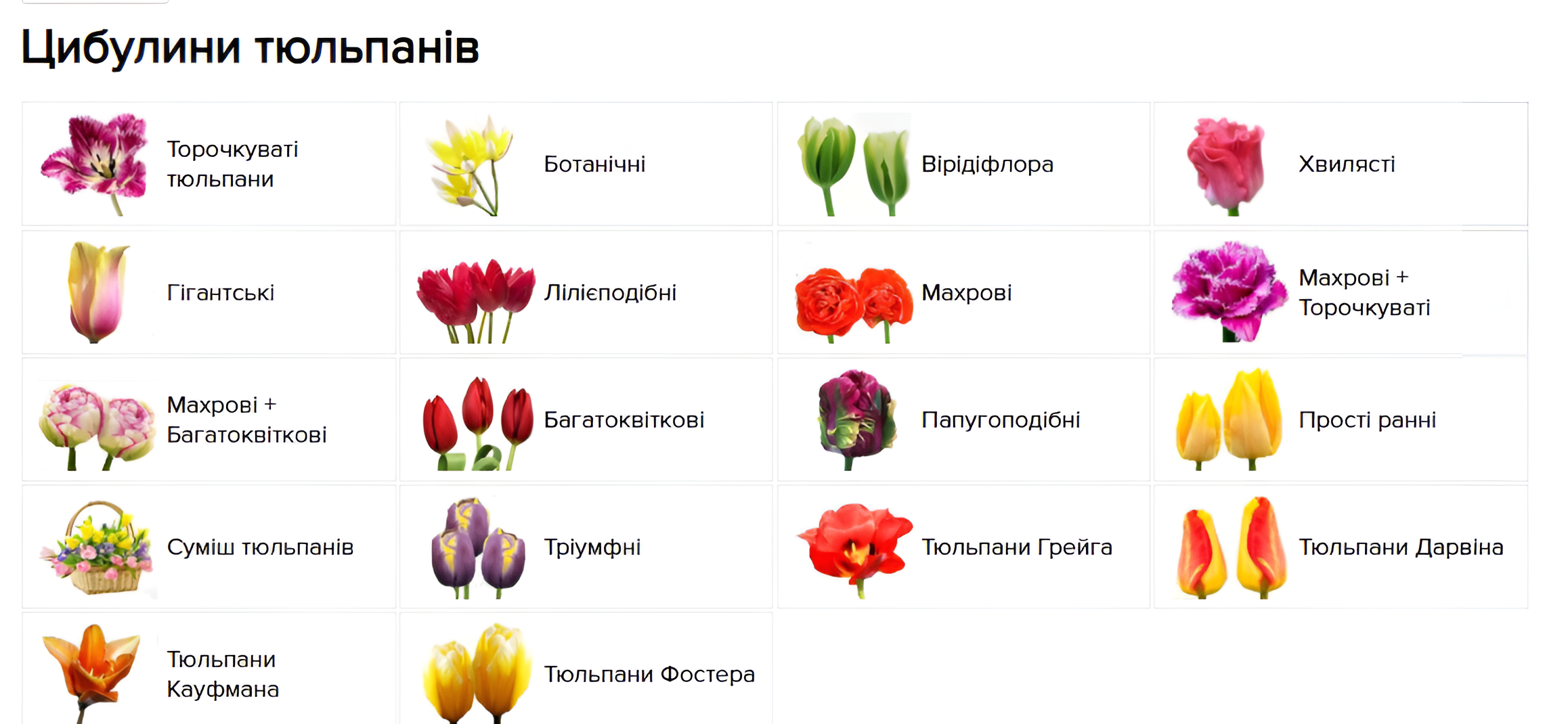 Photo 4 - Features of promoting an agricultural online store
