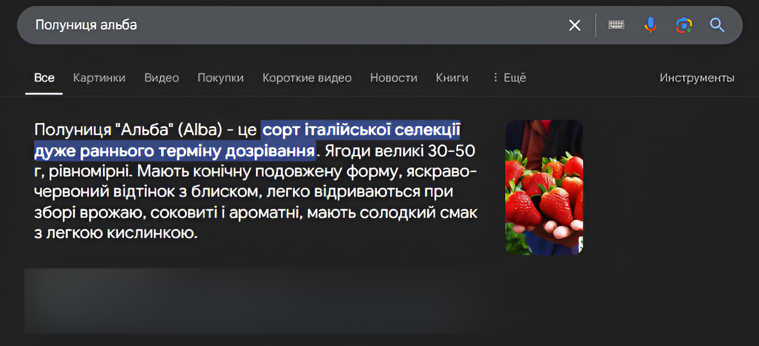 Photo 6 - Features of promoting an agricultural online store