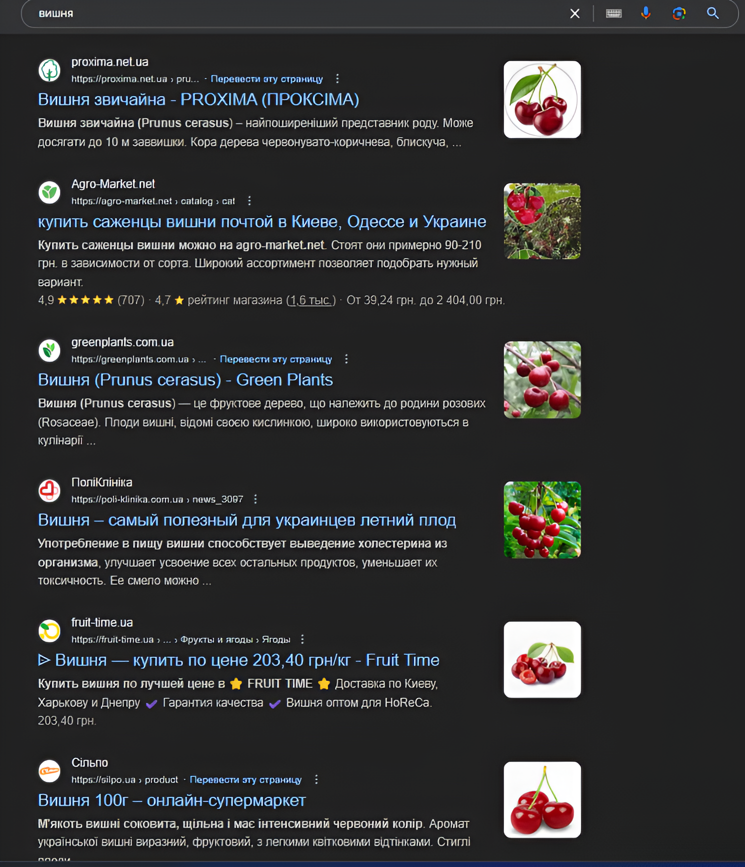 Photo 8 - Features of promoting an agricultural online store