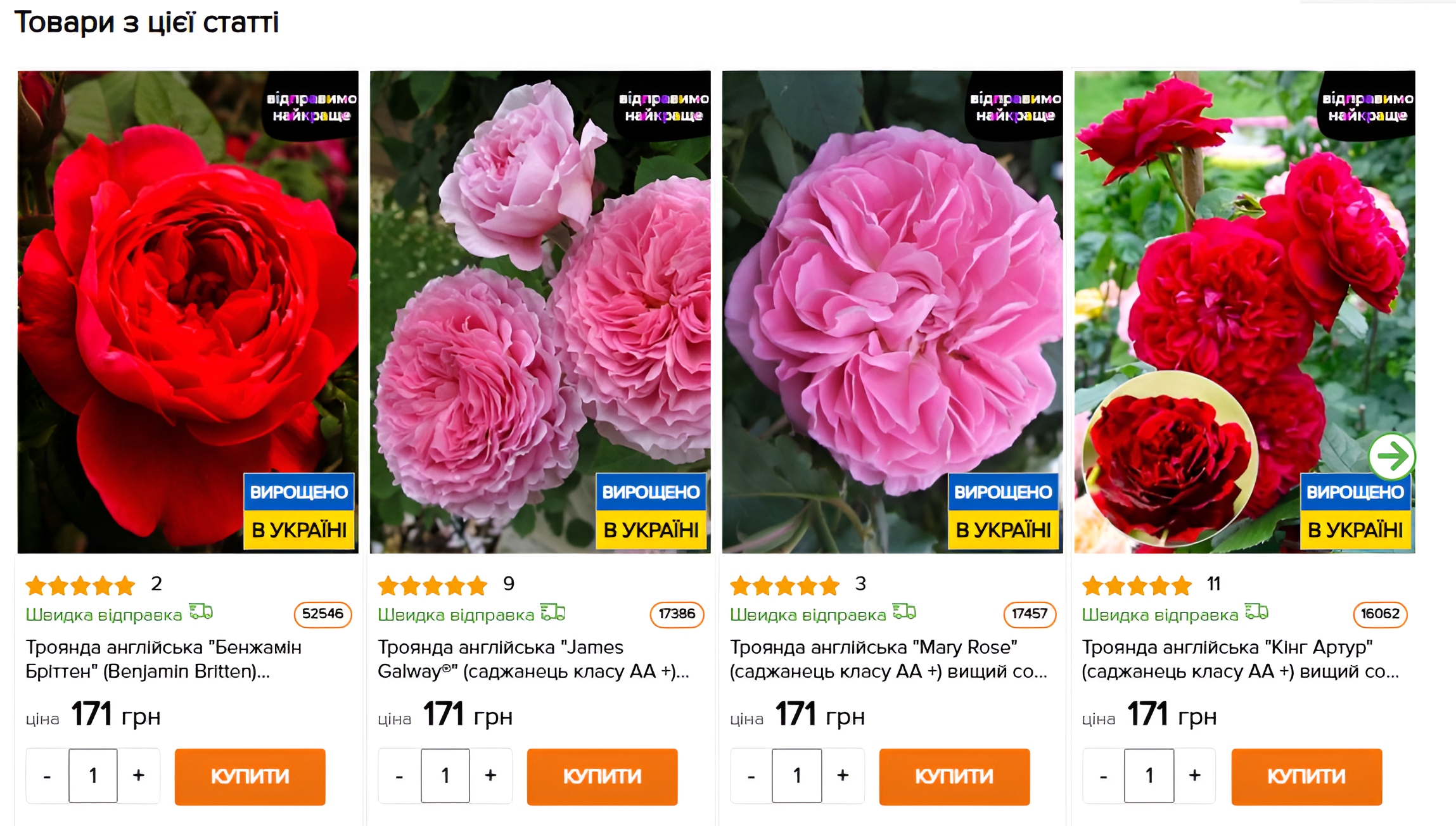 Photo 11 - Features of promoting an agricultural online store