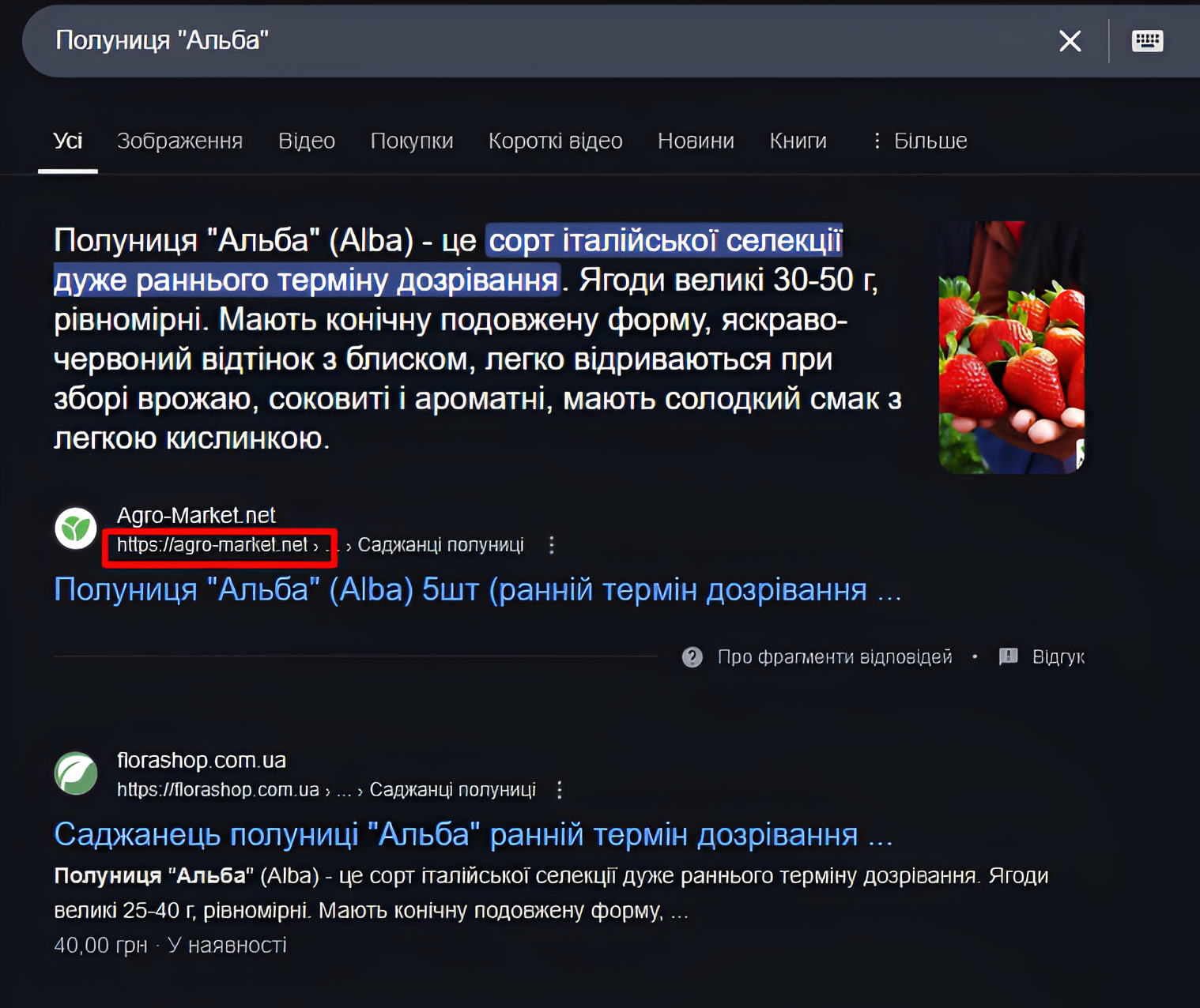 Photo 19 - SEO site audit. Checklist by the company seomarket.