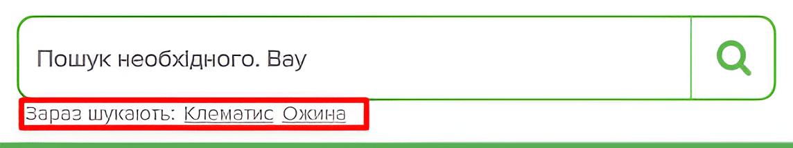 Photo 10 - SEO site audit. Checklist by the company seomarket.
