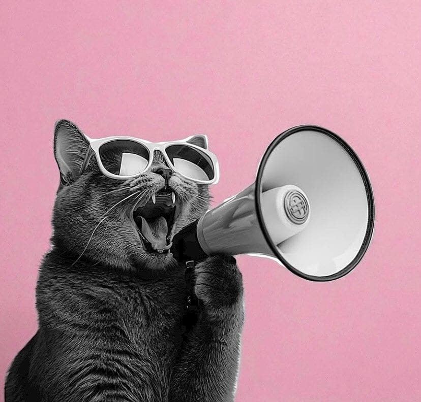 Фото 1 - Просування зоомагазину та товарів для тварин